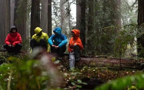 寻找有创造力的95后超级个体，用AI把工程领域重做一遍｜AI4ELAB