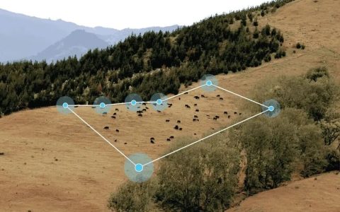 新西兰牧场里的中国技术出海机会，寻找国内畜牧AI IoT产品