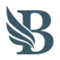 BidLight logo