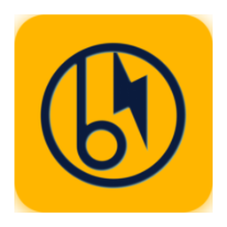 Buzz Solutions logo