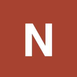Noetic logo