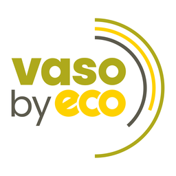 VASO Global logo