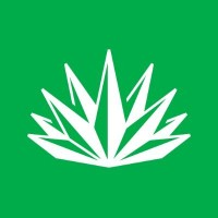 Agave logo