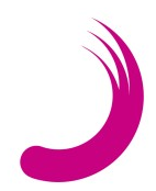 Planisware logo